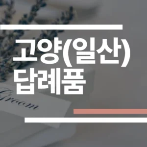 고양 일산 답례품