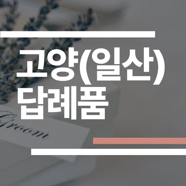 고양 일산 답례품