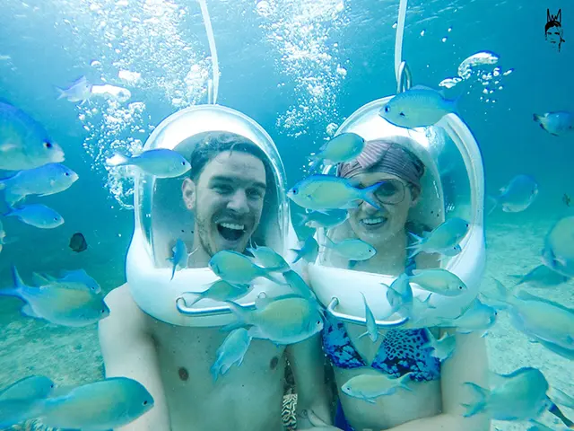 헬멧을 쓰고 바다 밑바닥을 걷는 씨워킹 체험