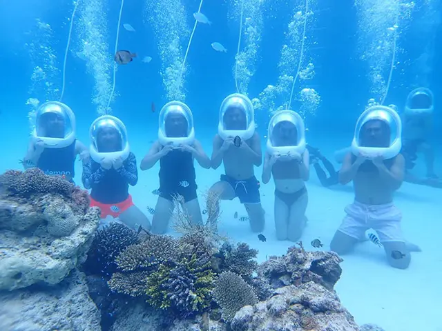 눈앞에서 펼쳐지는 화려한 열대어 떼의 모습