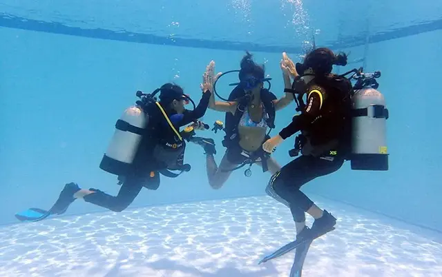 세부 에메랄드 빛 바다 속 탐험, 체험 다이빙 직접 해보니 4 다이버들이 함께 헤엄치는 바다 배경