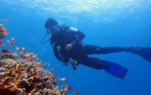 세부 에메랄드 빛 바다 속 탐험, 체험 다이빙 직접 해보니 6 바다 속 생태계 보호를 위한 다이버의 모습