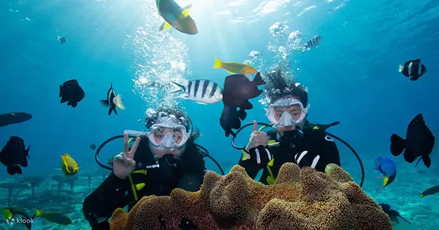 블루케이브에서 즐기는 스노클링과 열대어들과의 만남