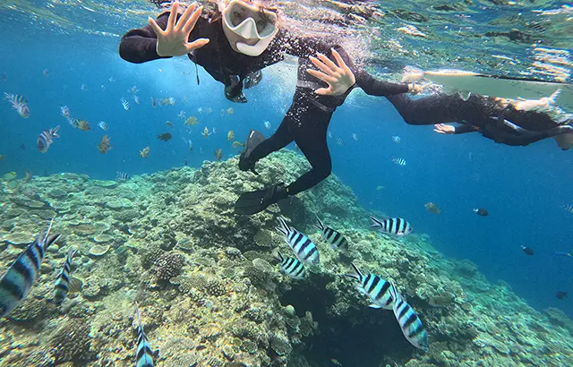 전문 강사의 인솔하에 진행되는 안전한 오키나와 체험 다이빙