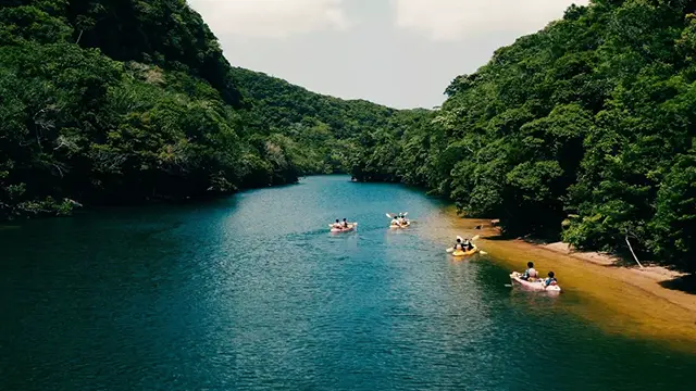 비 오는 날 방문하기 좋은 오키나와 추라우미 수족관의 대형 수조