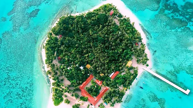 마나가하섬 해변에서 즐기는 스노클링