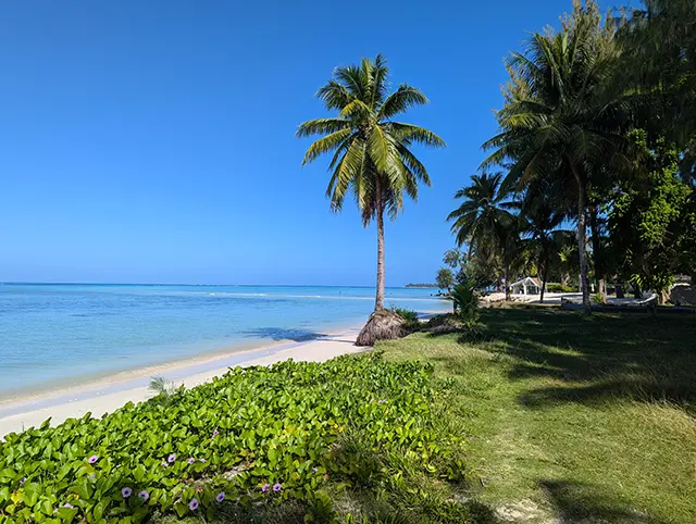 마이크로비치의 환상적인 핑크빛 노을