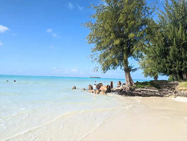 마이크로비치 해변 산책로와 평화로운 분위기