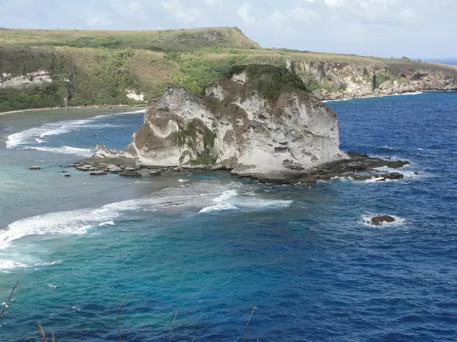 거북이 모양을 닮은 신비로운 새섬의 전경