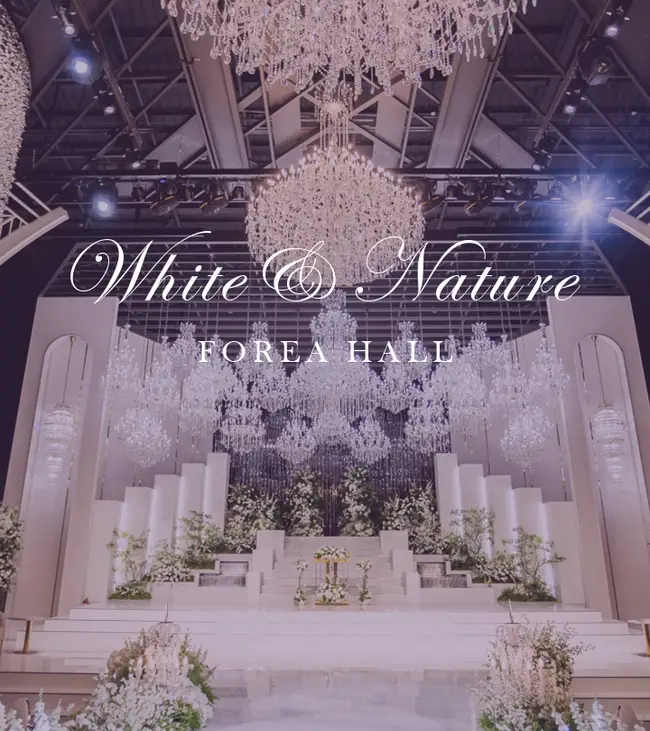 노비아갈라 상세설명 이미지 1