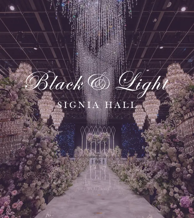 노비아갈라 상세설명 이미지 2