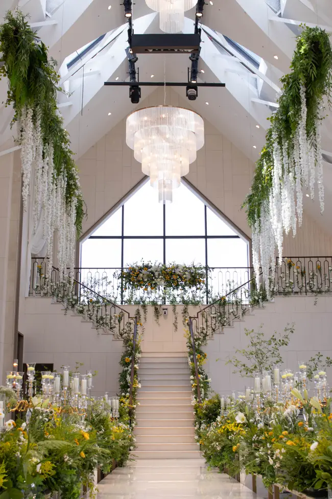 더마레보 상세설명 이미지 1