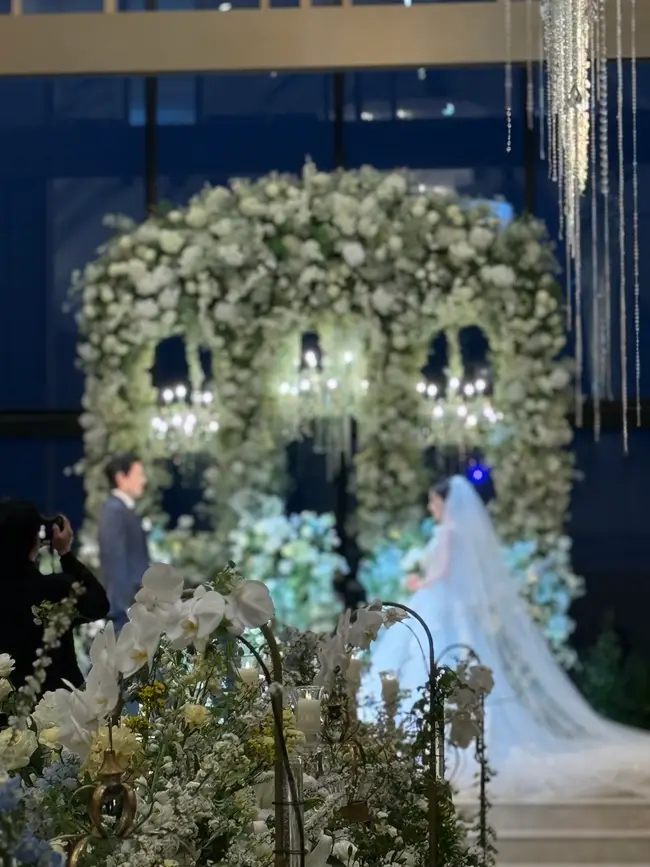 더마레보 상세설명 이미지 2