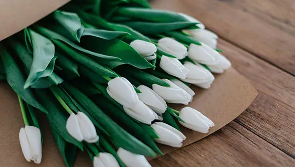 송도센트럴파크호텔 상세설명 이미지 2