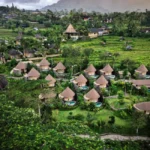 발리 시데멘 와파 디 우메 호텔