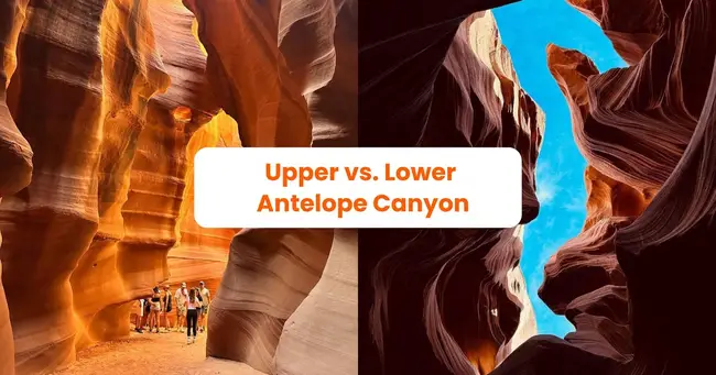 엔텔로프 캐년 어퍼 로워 X캐년 비교 이미지 3