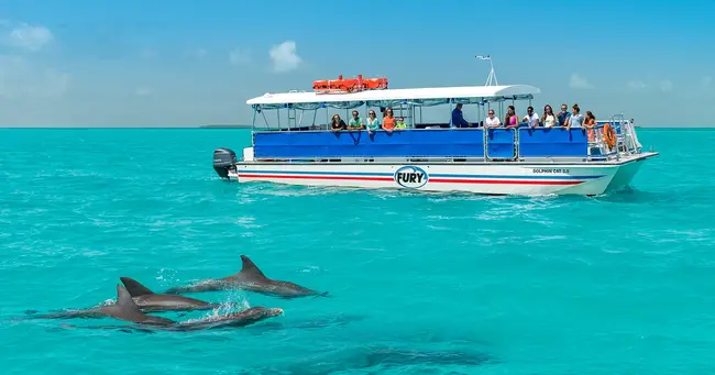 Guam dolphin cruise boat and ocean view