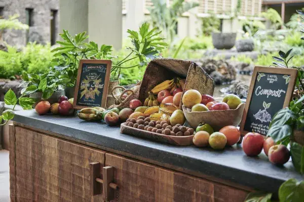 창문 자체가 하나의 거대한 명화가 되는 환상적인 객실 뷰