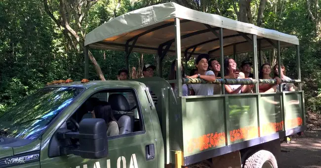 하와이 쿠알로아 랜치 정글 익스페디션 이미지 4