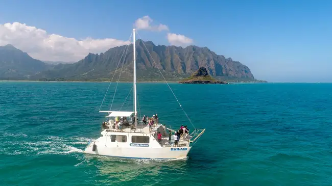 하와이 쿠알로아 랜치 오션 보야지 거북이 이미지 1