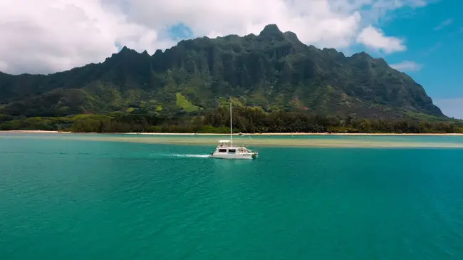 하와이 쿠알로아 랜치 오션 보야지 거북이 이미지 2