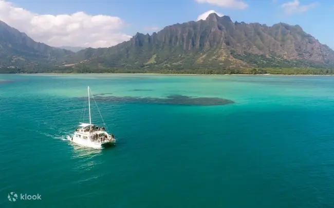 하와이 쿠알로아 랜치 오션 보야지 거북이 이미지 3