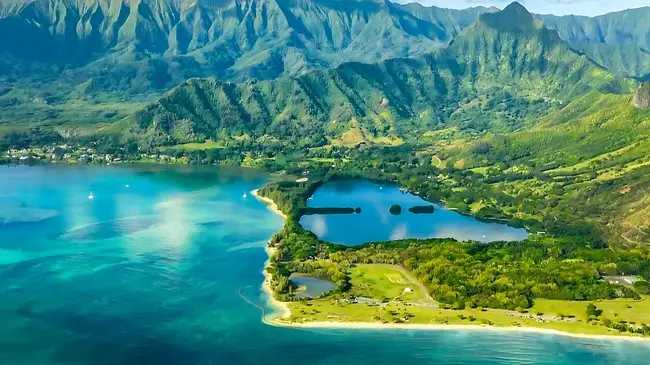 하와이 쿠알로아 랜치 오션 보야지 거북이 이미지 4