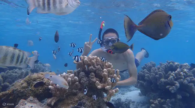 사이판 마나가하섬 패러세일링 및 액티비티 이미지 2