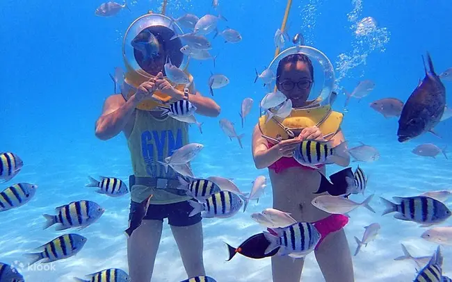 사이판 마나가하섬 패러세일링 및 액티비티 이미지 3