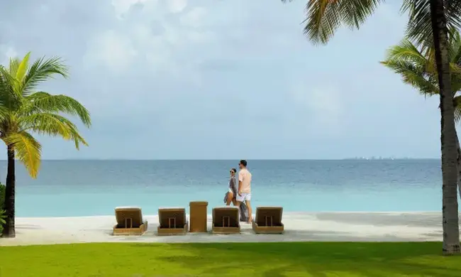 새둥지 모양의 독특한 테라(Terra) 레스토랑 좌석