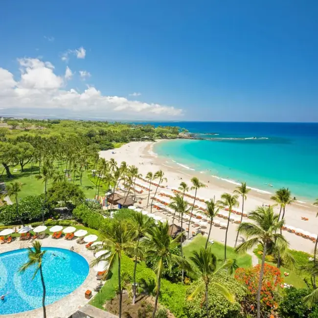 바다를 바라보며 즐기는 하이엔드 요리 플레이팅